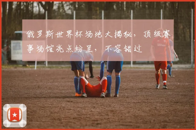 俄罗斯世界杯场地大揭秘，顶级赛事场馆亮点纷呈，不容错过