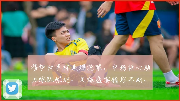穆伊世界杯表现抢眼，中场核心助力球队崛起，足球盛宴精彩不断，实力见证