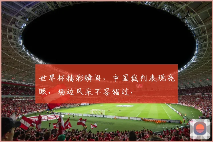 世界杯精彩瞬间，中国裁判表现亮眼，场边风采不容错过，