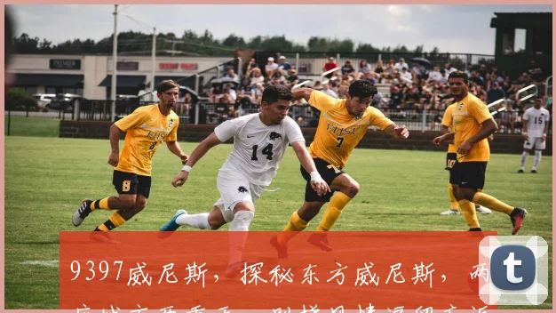 9397威尼斯，探秘东方威尼斯，两座城市两重天，别样风情逗留忘返