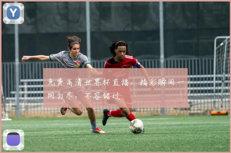 免费高清世界杯直播，精彩瞬间一网打尽，不容错过