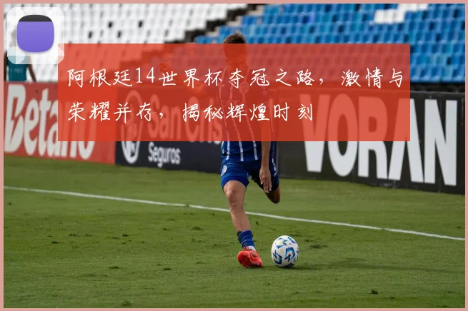 阿根廷14世界杯夺冠之路，激情与荣耀并存，揭秘辉煌时刻