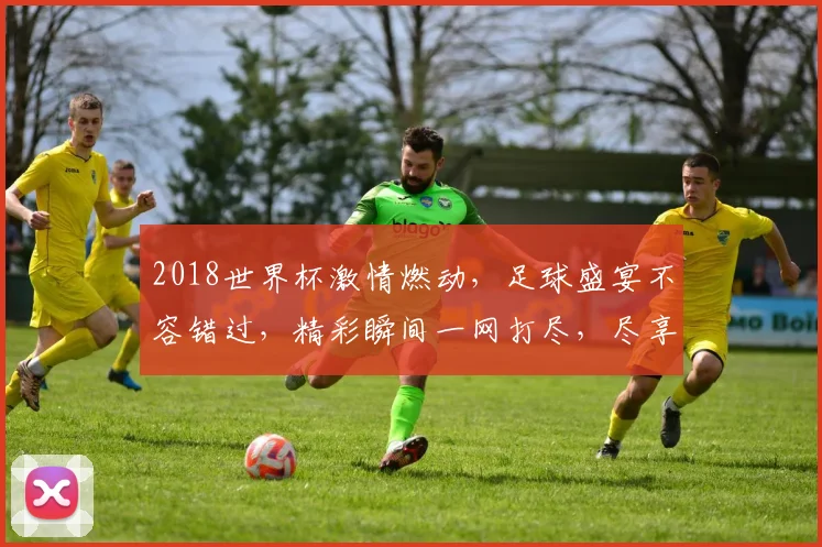 2018世界杯激情燃动，足球盛宴不容错过，精彩瞬间一网打尽，尽享足球狂欢